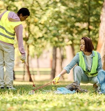 Lawn Cleaning